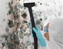 Best Mold Documentation for Insurance Claims in Wilburton, OK